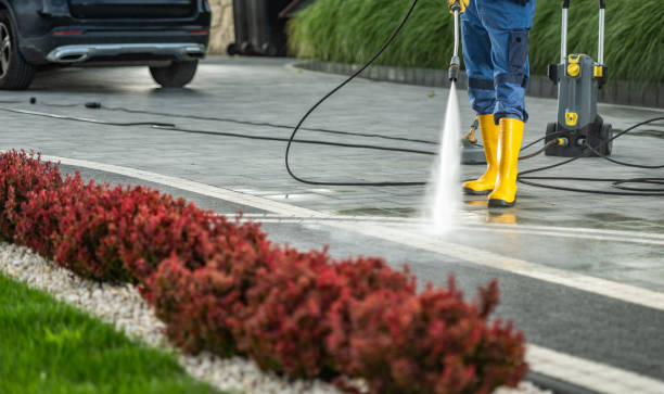 Best Local Pressure Washing Services  in Spring, TX